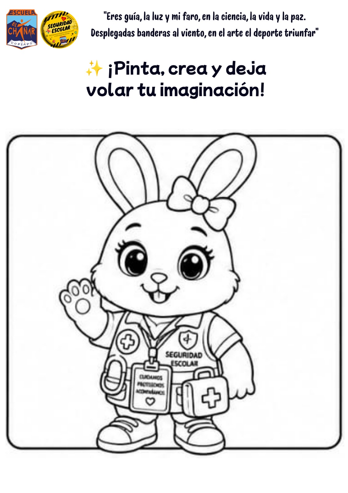 Lámina 1: ROMILUZ
