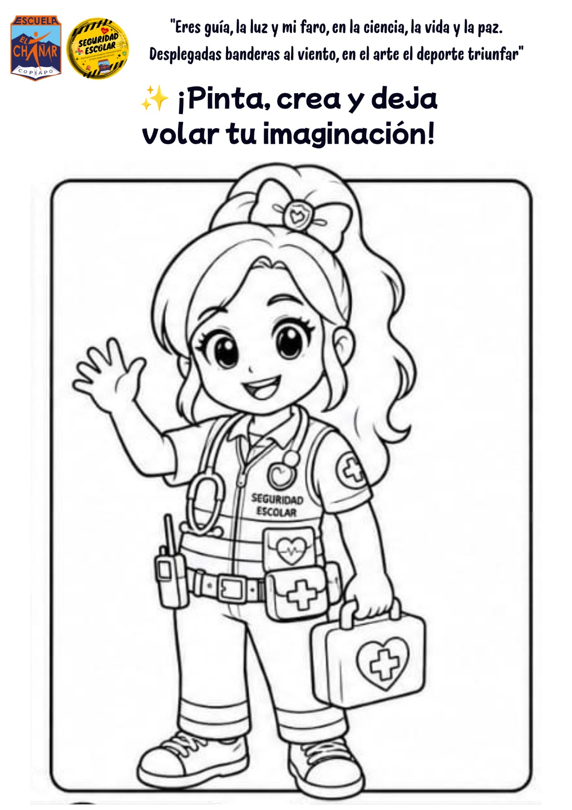 Lámina 4: SEGURINA
